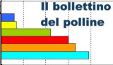bollettino del polline